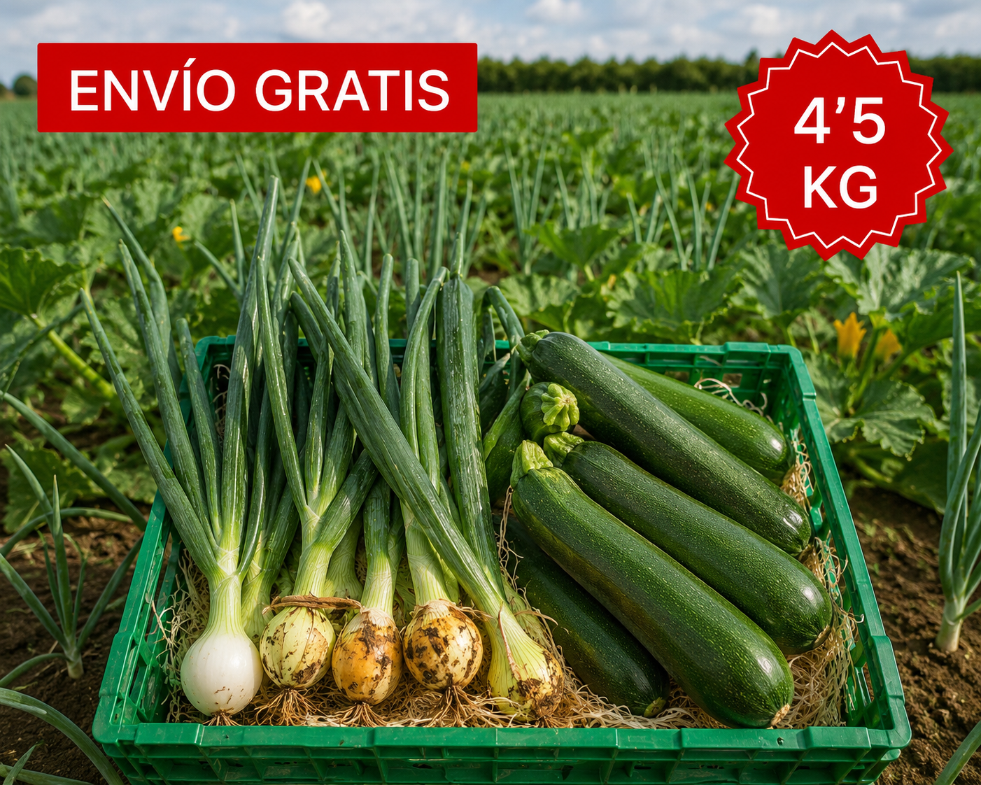 Combo de Verduras Valencianas 4’5 kg