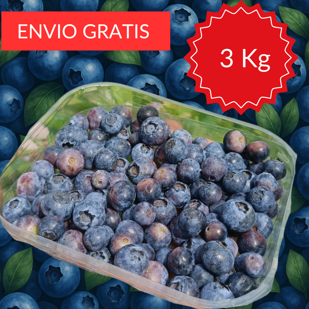 Mirtilos Valencianos 3 kg.