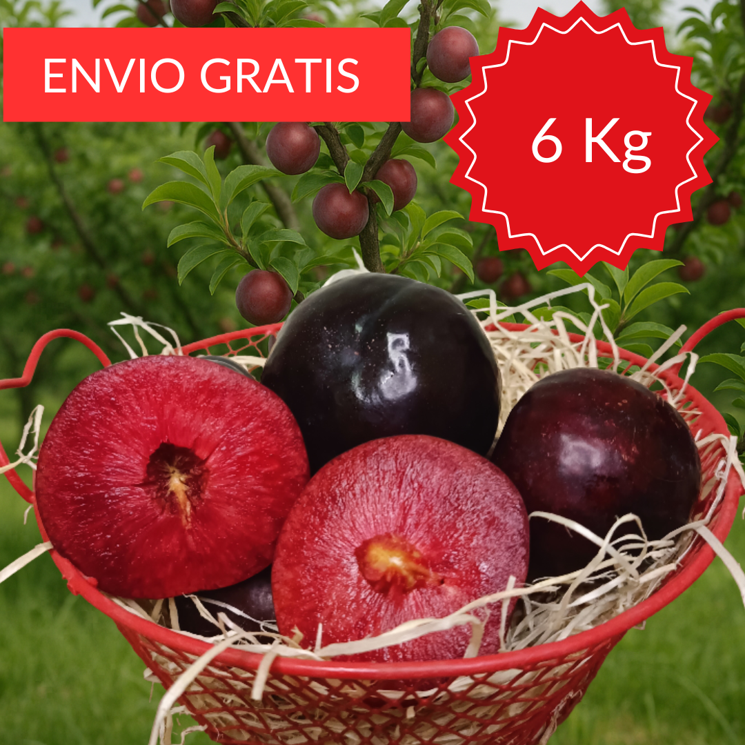 Ciruelas Valencianas 6 KG.