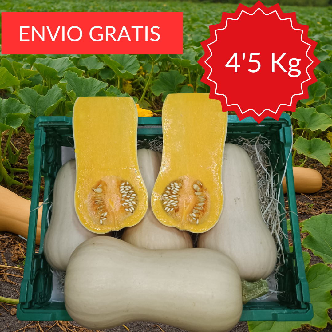 Calabaza Cacahuete-Violina 4´5 kg.