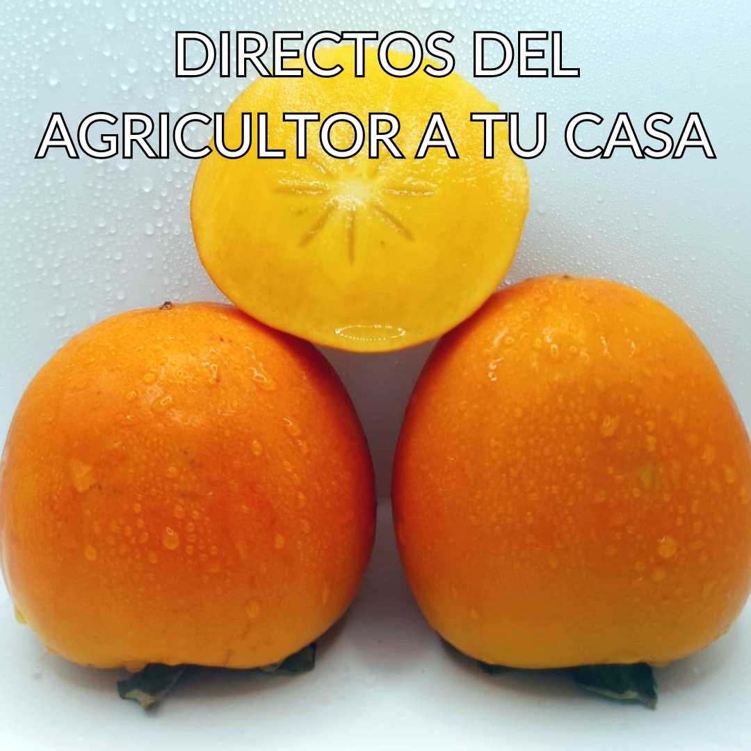 PREVENTA KAKI PERSIMON 14 Kg.