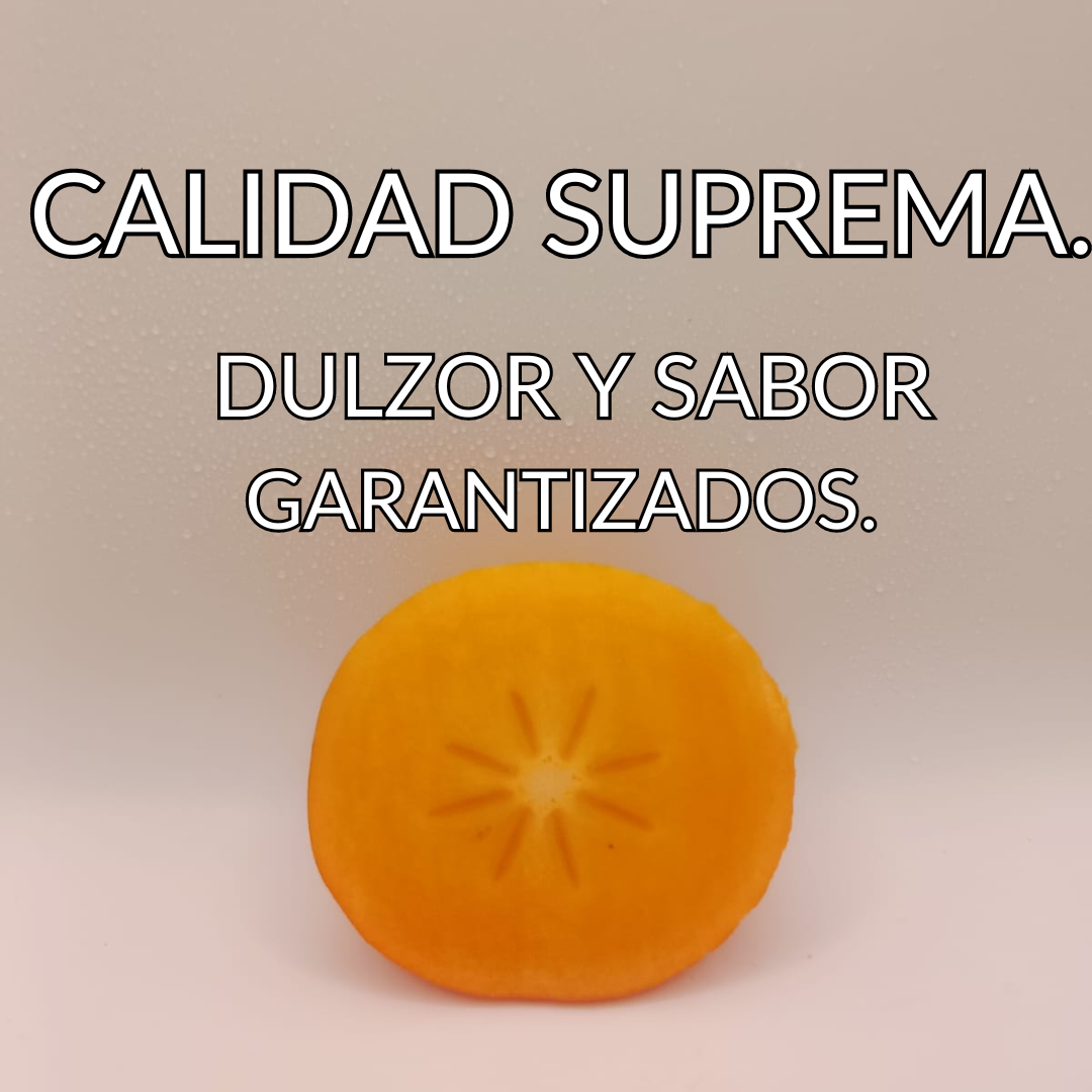 PREVENTA KAKI PERSIMON 14 Kg.