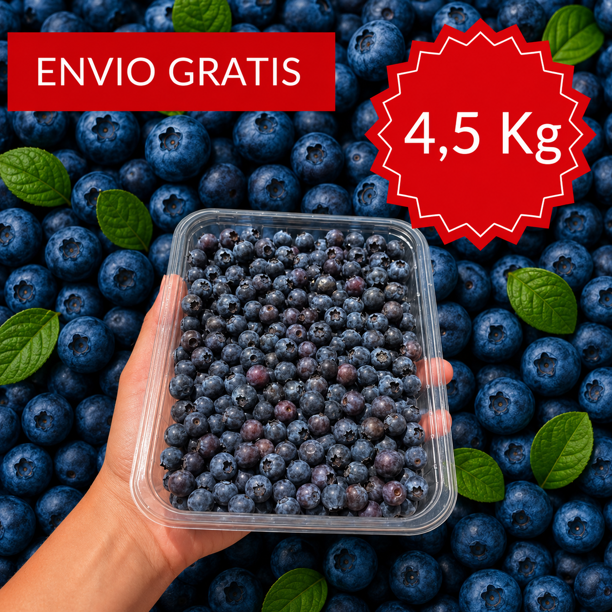 Mini Arándanos Valencianos 4´5 kg.