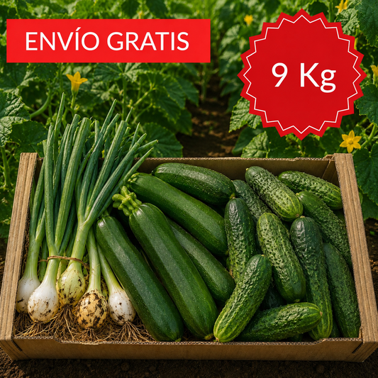 Pack de Verduras Valencianas 9 kg.