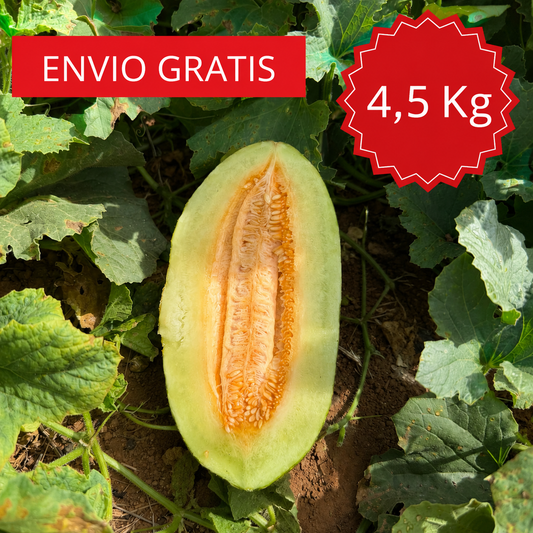 Melón piel de sapo valenciano 4´5 kg.