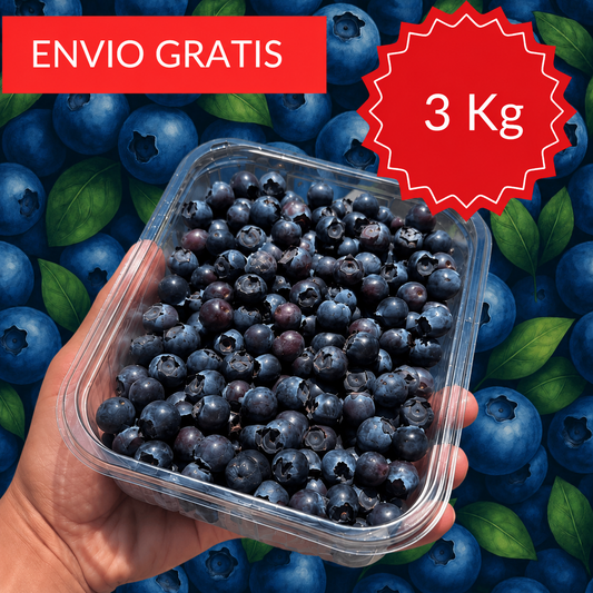 Mini Arándanos Valencianos 3 kg.