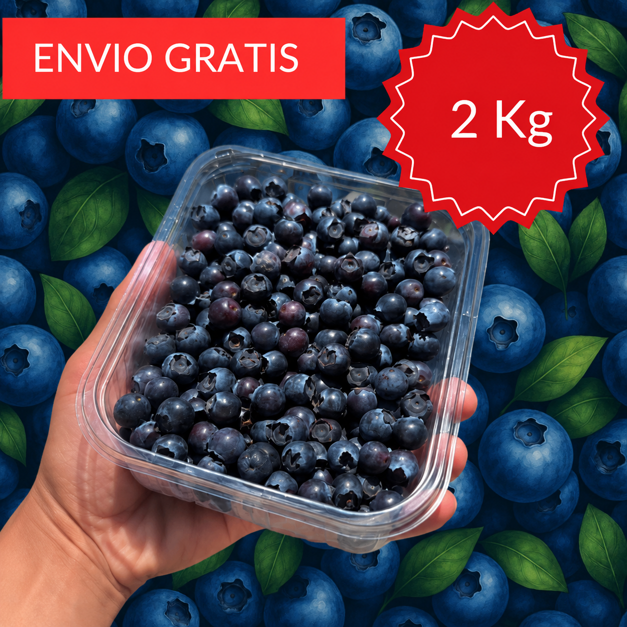 Mini Arándanos Valencianos 2 kg.