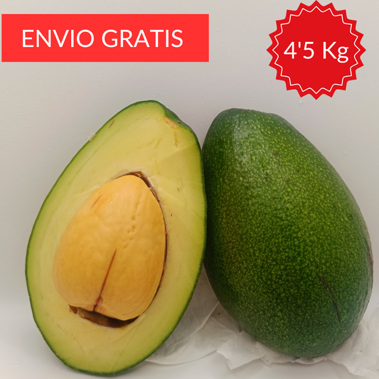 Aguacate Bacon Valenciano 4'5 kg.