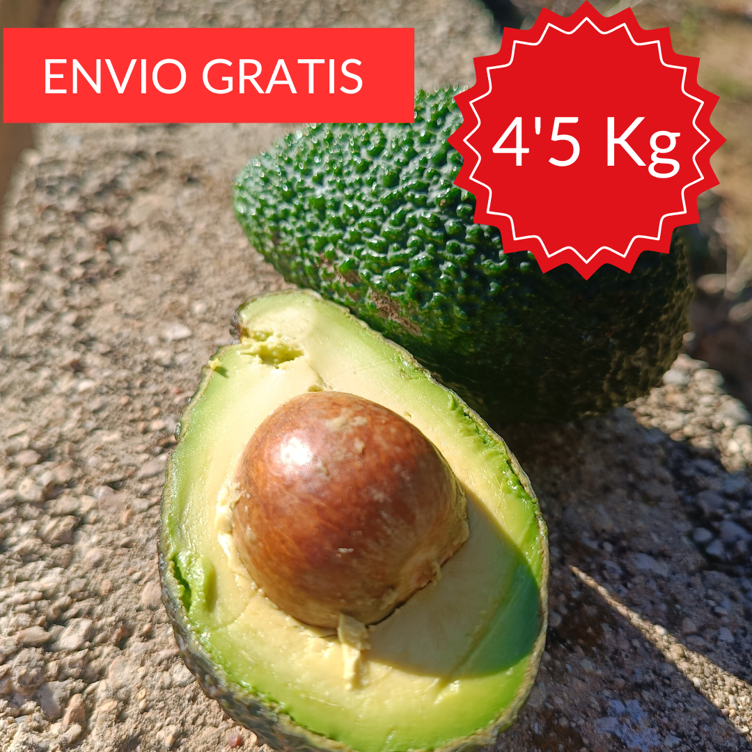 Aguacate Hass Valenciano 4'5 KG.