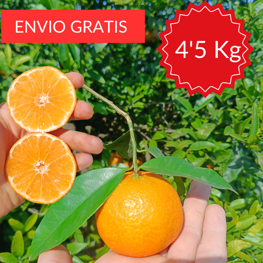 Mandarina Temprana Oronules 4´5 kg