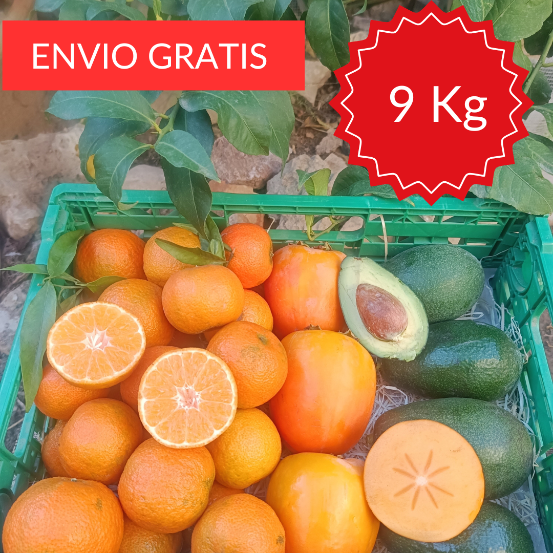 Pack Fruta de Temporada 9 kg.