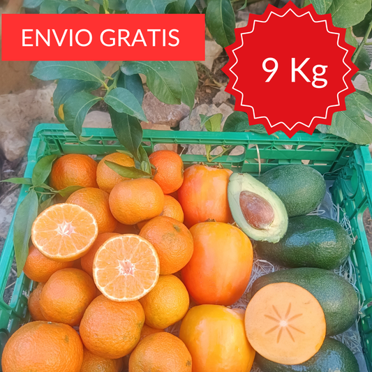 Pack Fruta de Temporada 9 kg.
