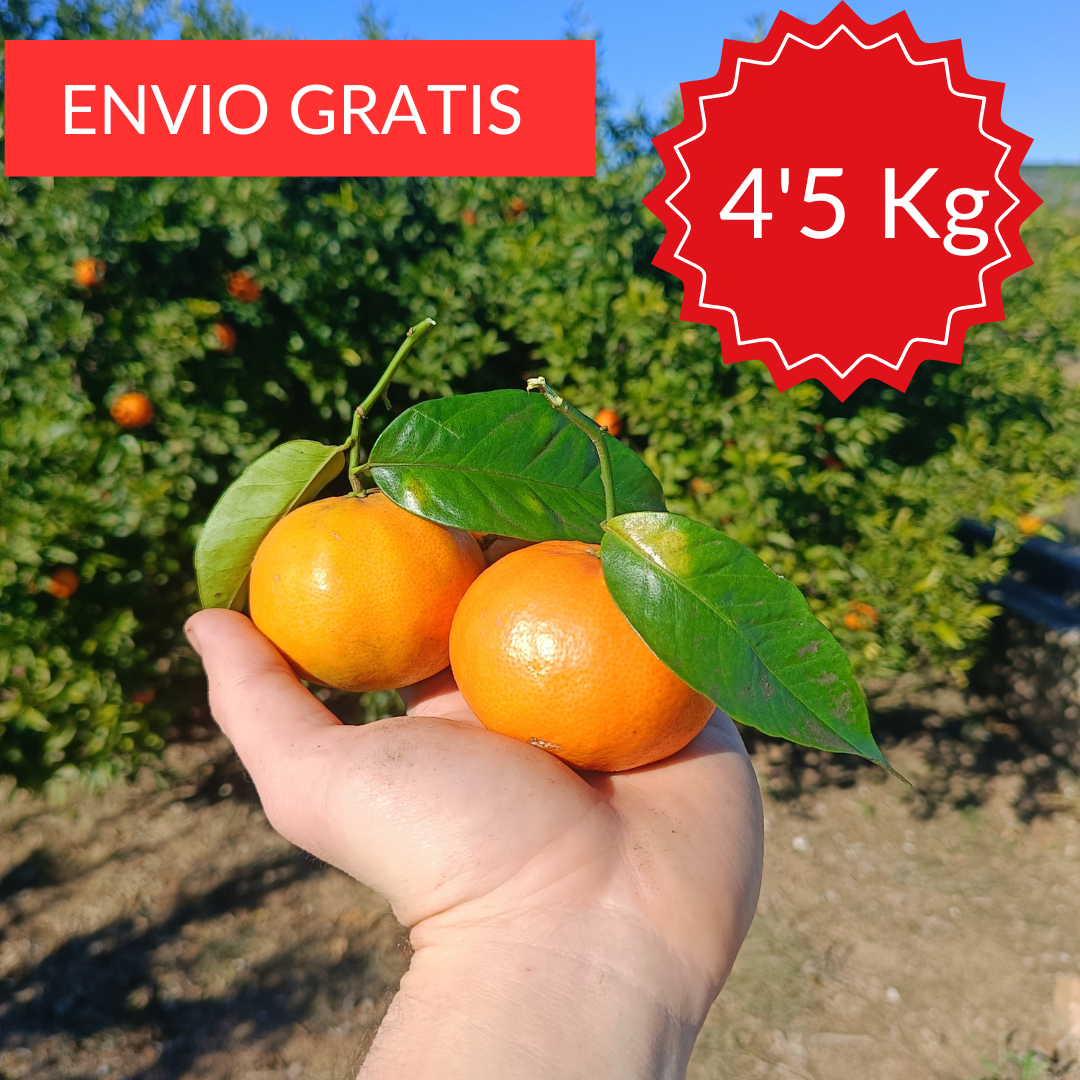 Mandarinas Clemenules 4'5 kg
