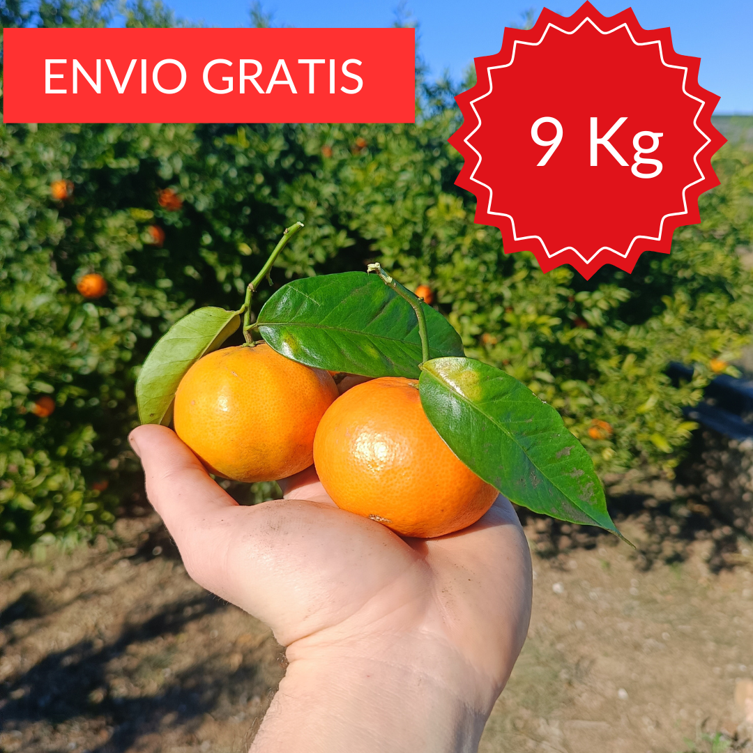 Mandarinas Clemenules 9 kg