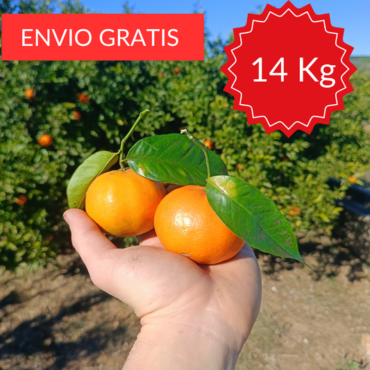 Mandarinas Clemenules 14 kg