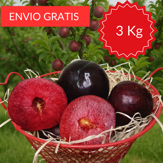 Ciruelas Valencianas 3 KG.