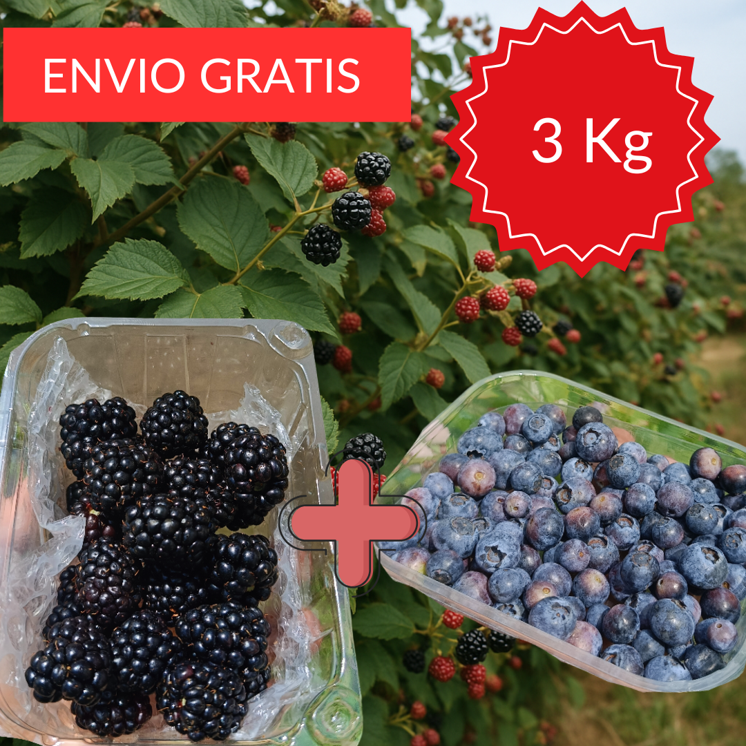 Pack Antioxidantes 3 kg.