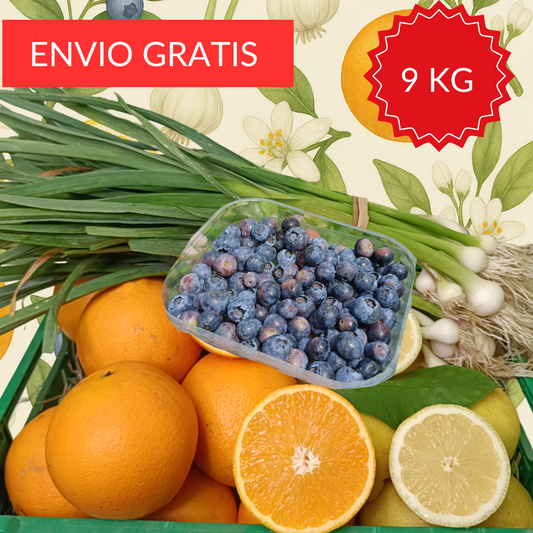 PACK FRUTA TEMPORADA 9 kg.