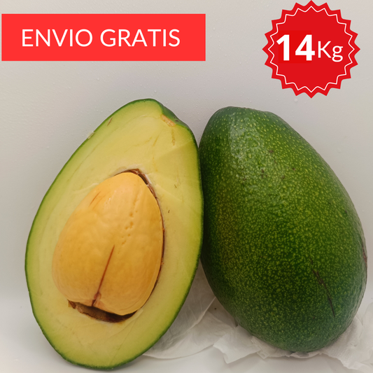 Aguacate Bacon Valenciano 14 kg.