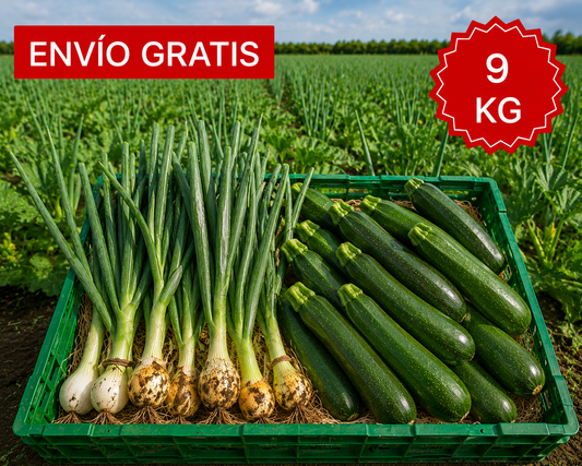 Combo de Verduras Valencianas 9 kg.