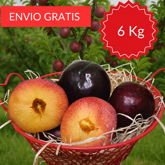 Ciruelas Valencianas 6 KG.