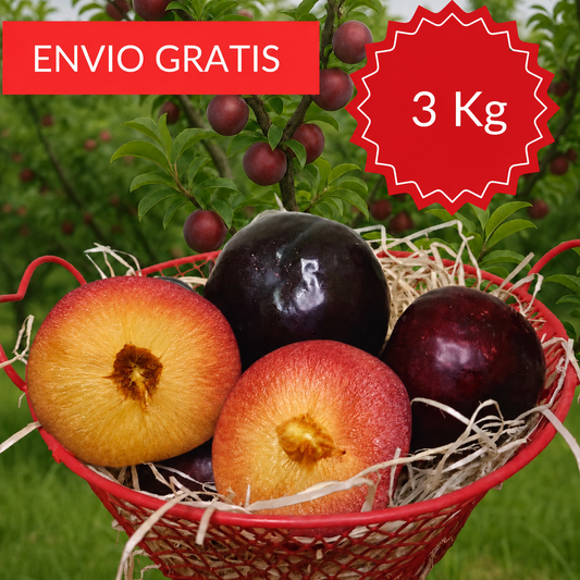 Ciruelas Valencianas 3 KG.