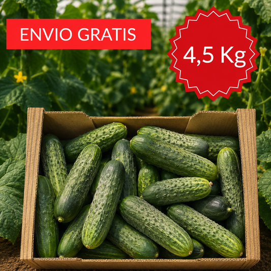 Pepinos Valencianos 4´5 kg.