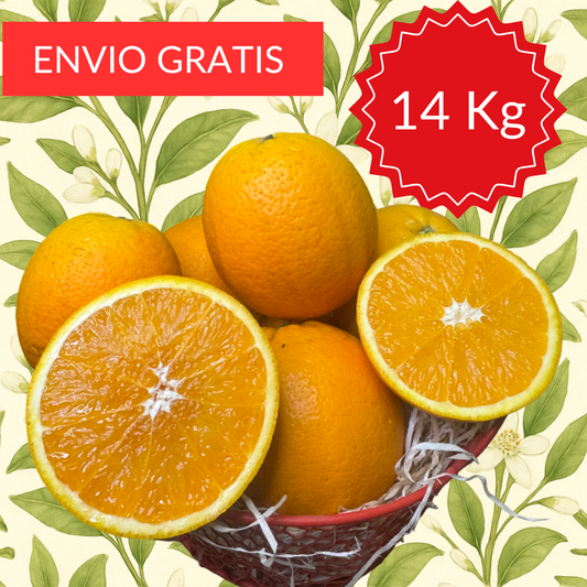 Naranja Valencia Midnight 14 kg.