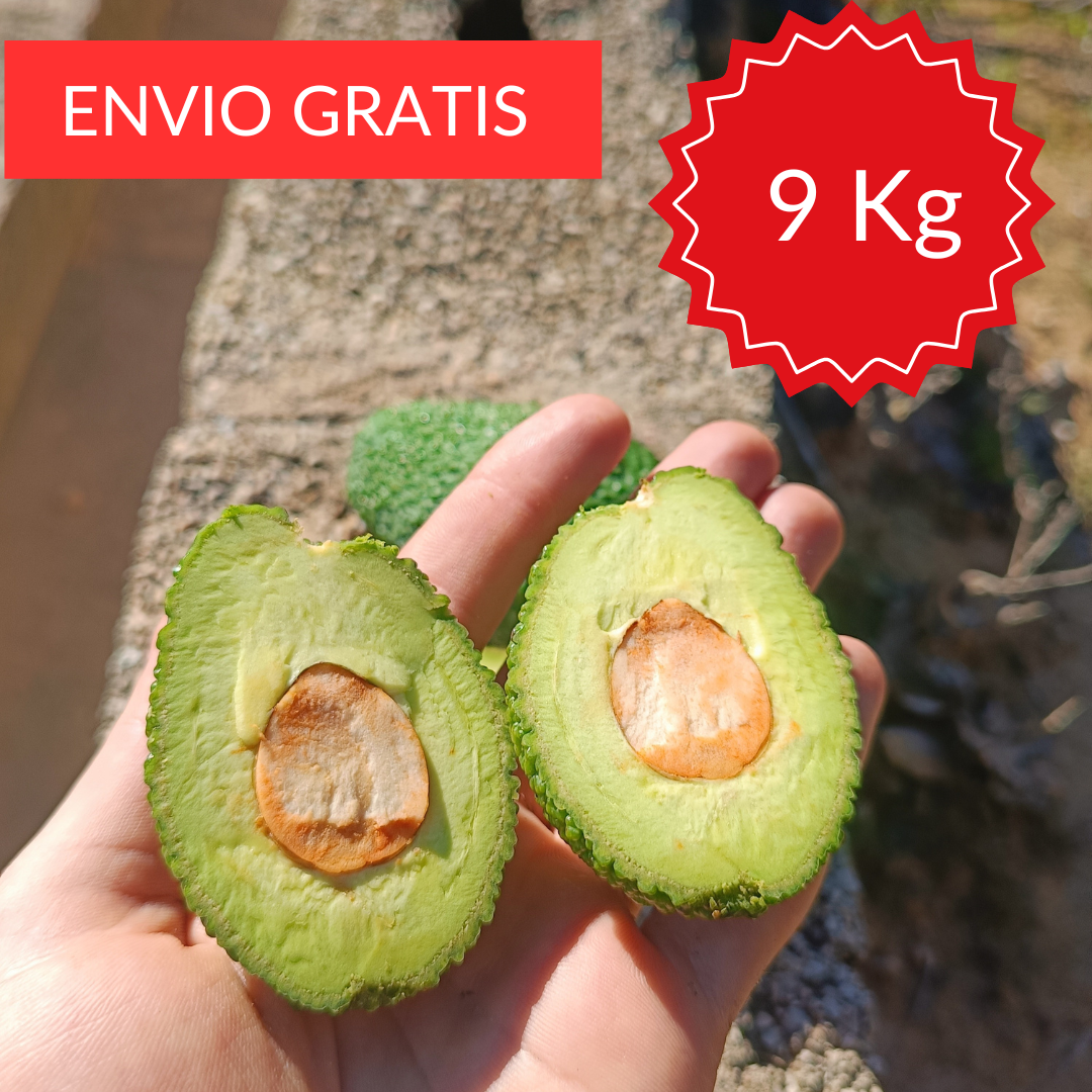 Mini Aguacate Hass Valenciano 9 KG.