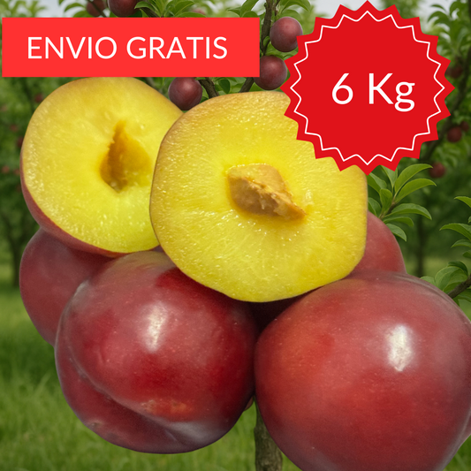 Ciruelas Valencianas Tempranas 6 kg.