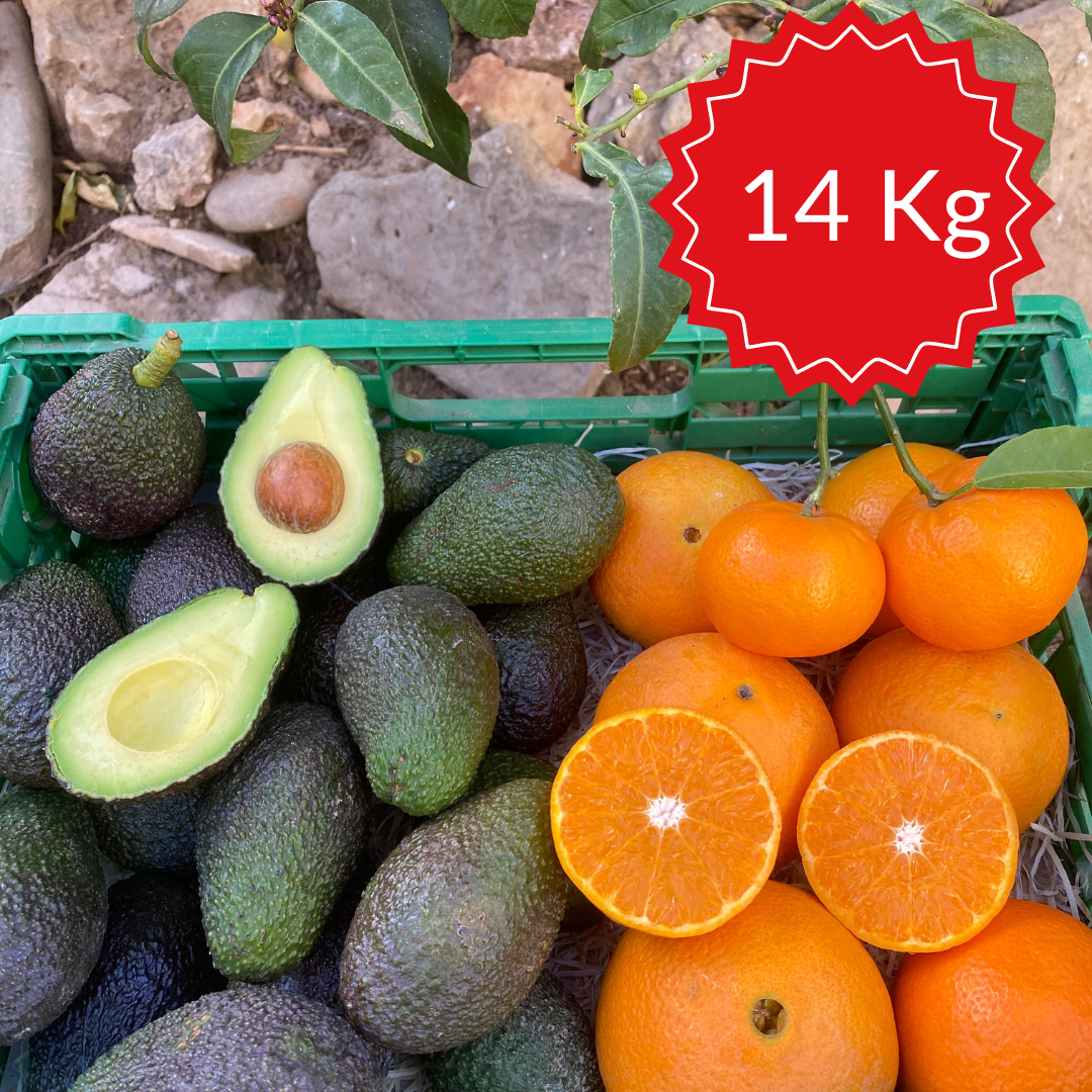 Pack de Fruta de Temporada Gourmet 14 kg.