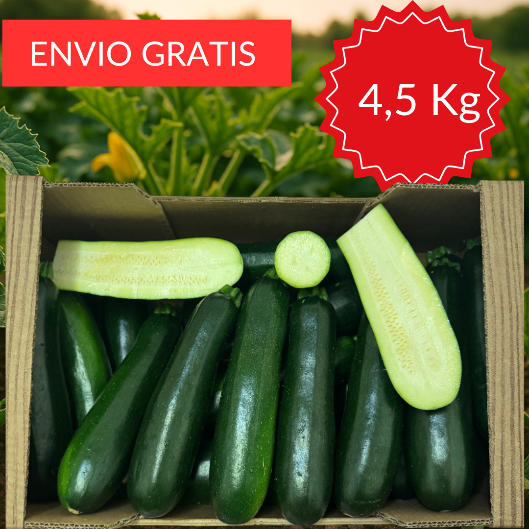 Calabacines valencianos 4’5 kg