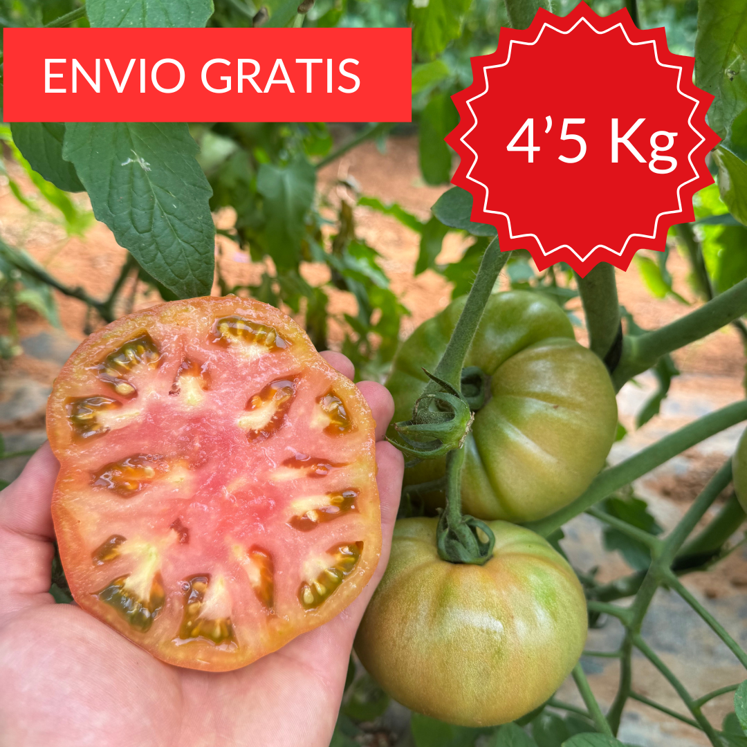 Tomate Valenciano Óptima 4´5 kg.