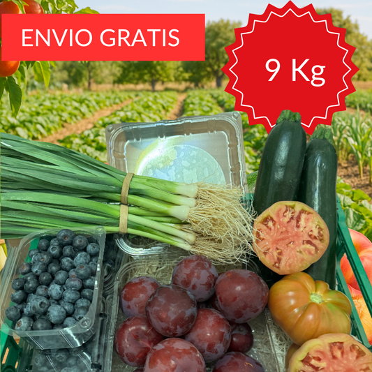 Pack de Fruta de Verano 9 kg.