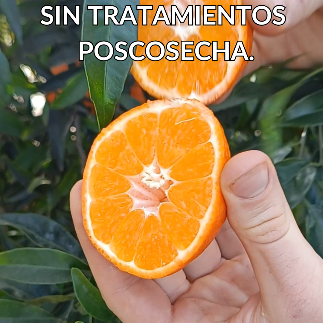 PACK FRUTA TEMPORADA 4'5 kg.